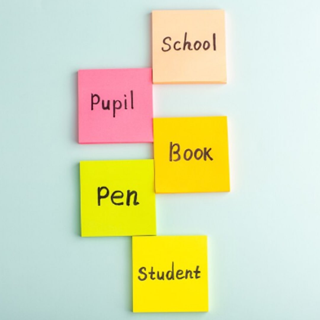 English Grammar Nouns for Class 3