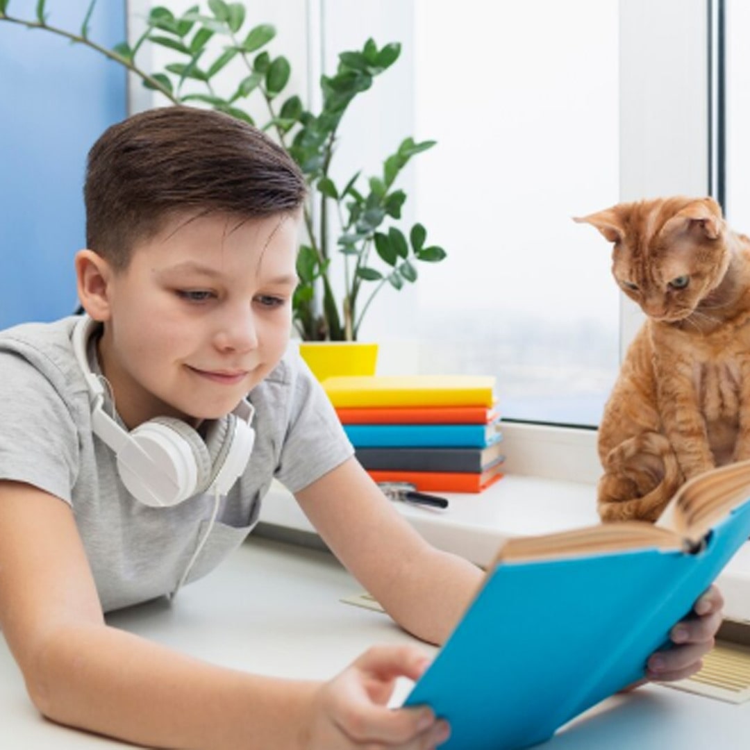 English Grammar: Noun for Class 4 – A Simple Guide